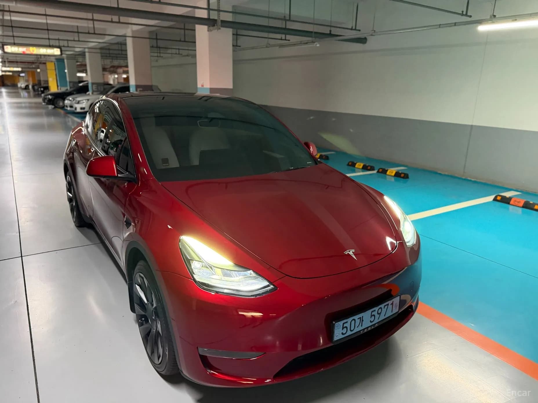 Model Y