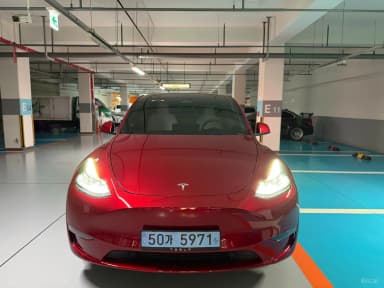Model Y