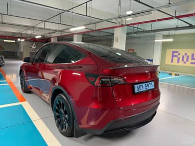 Model Y