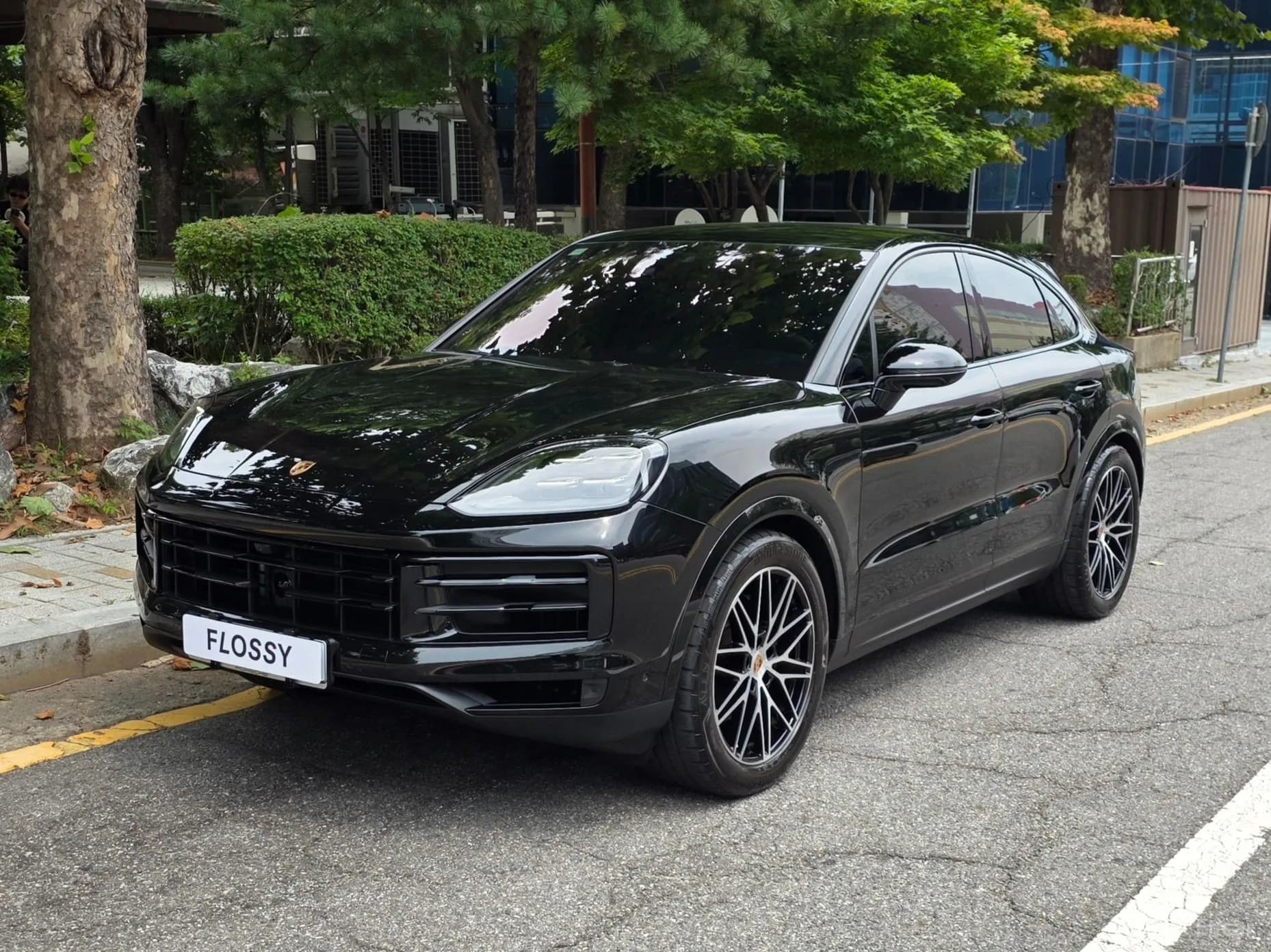 Cayenne (PO536)