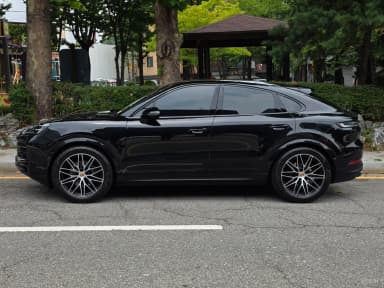 Cayenne (PO536)