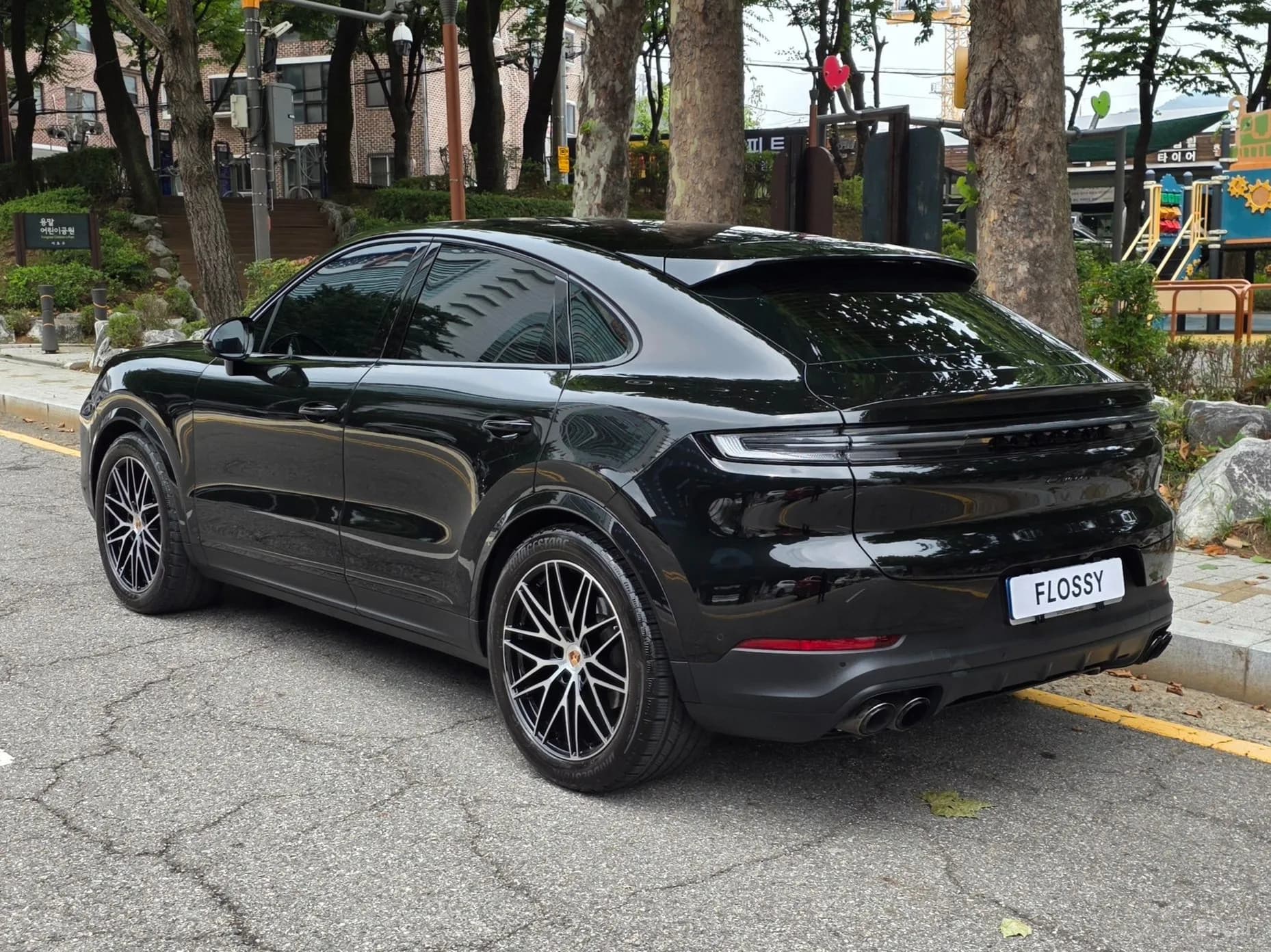 Cayenne (PO536)