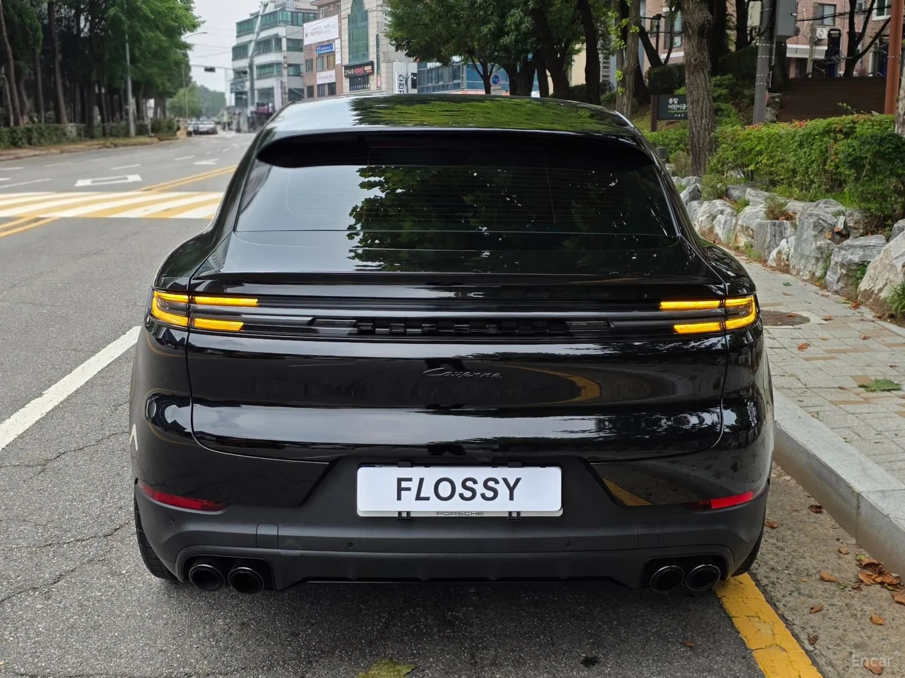 Cayenne (PO536)