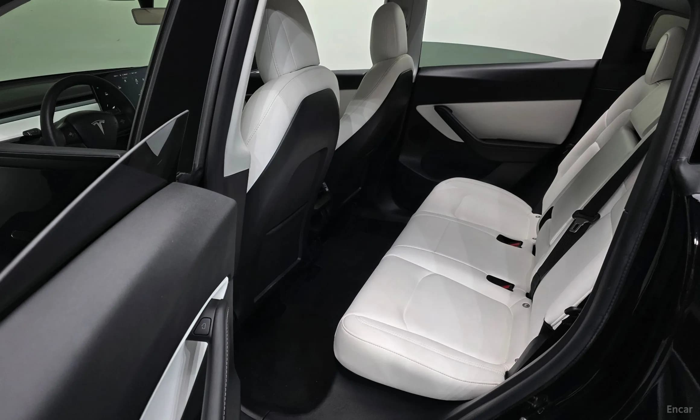 Model Y