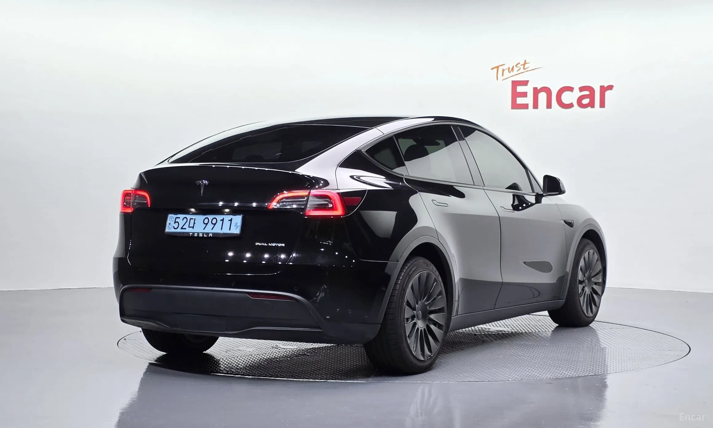Model Y