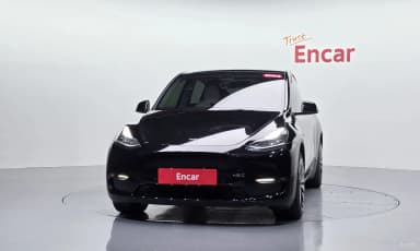 Model Y