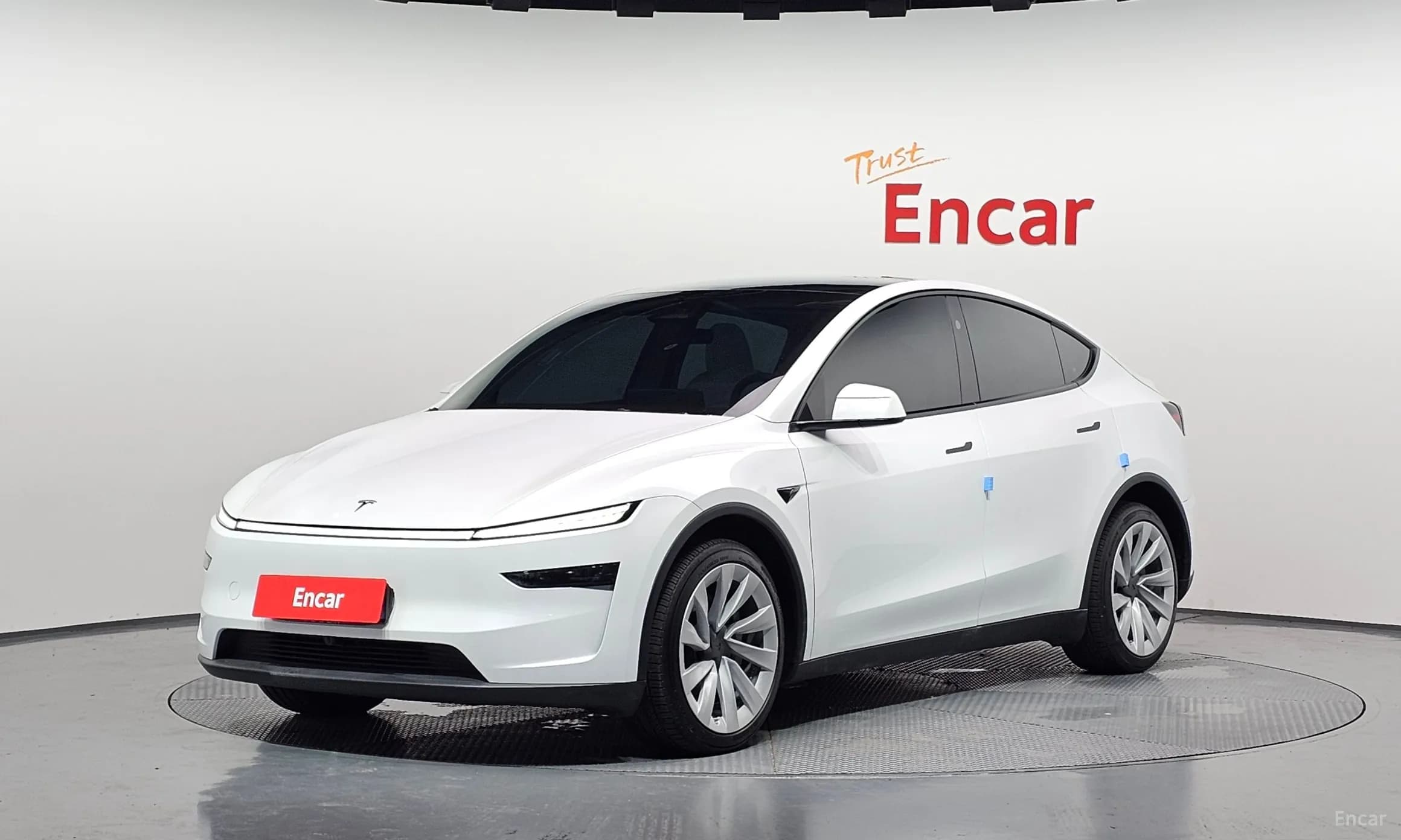 Model Y