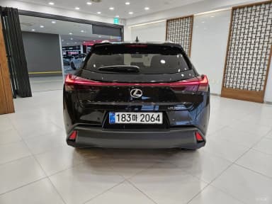UX300h