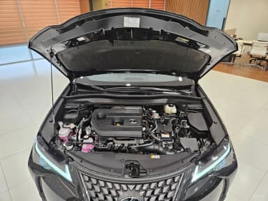 UX300h