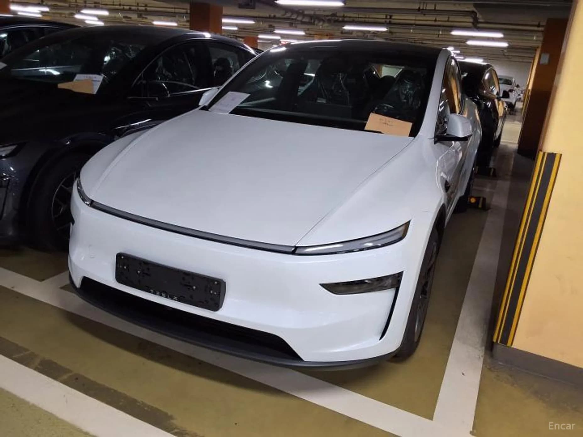 Model Y