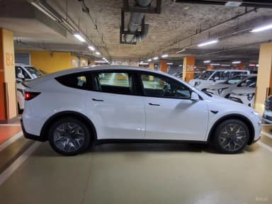 Model Y