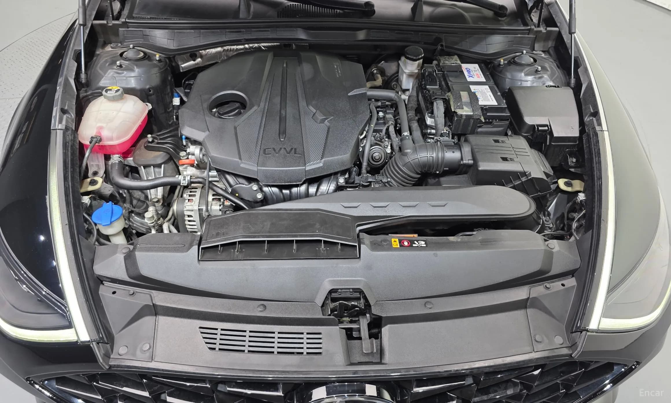 Sonata (DN8)