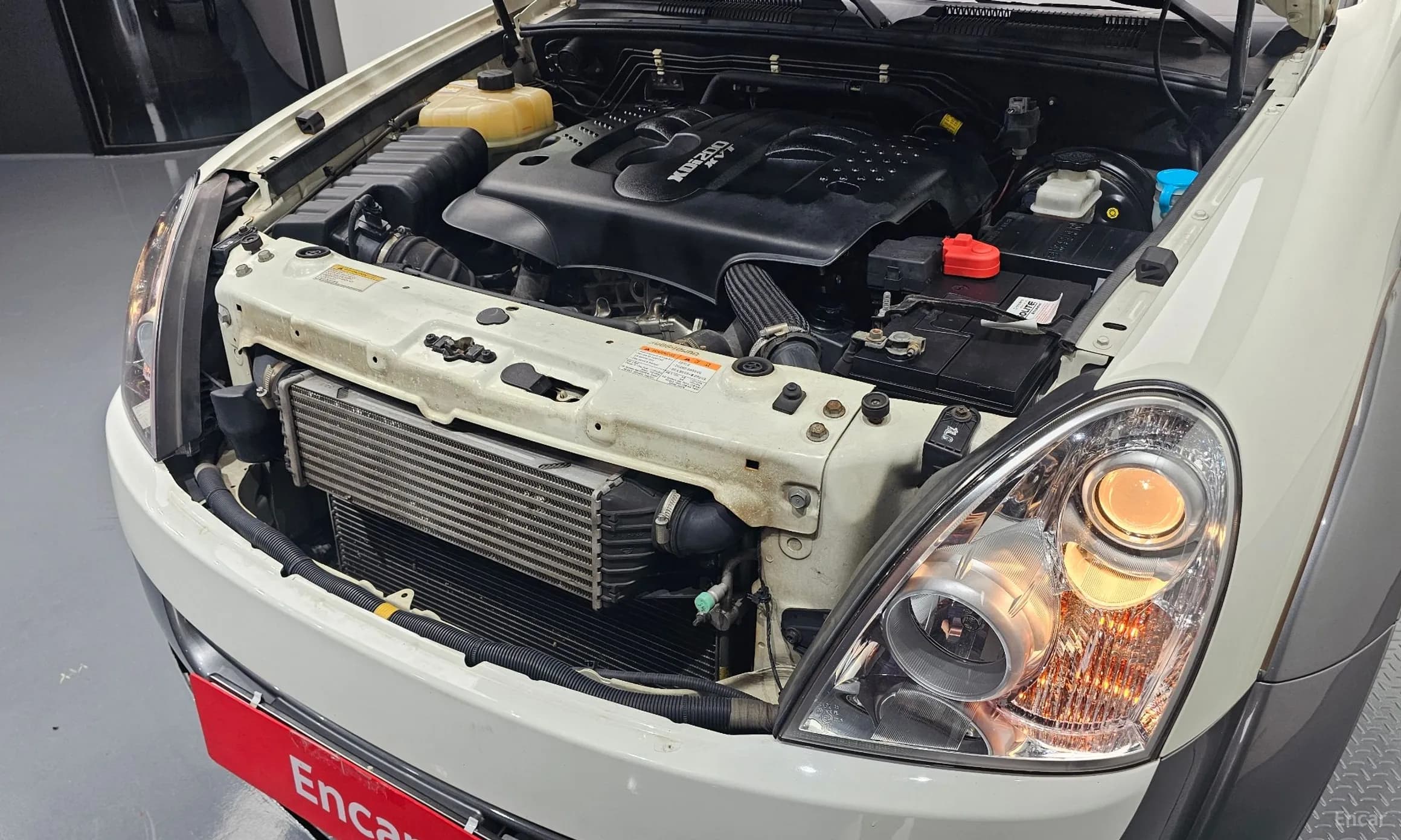Super Rexton