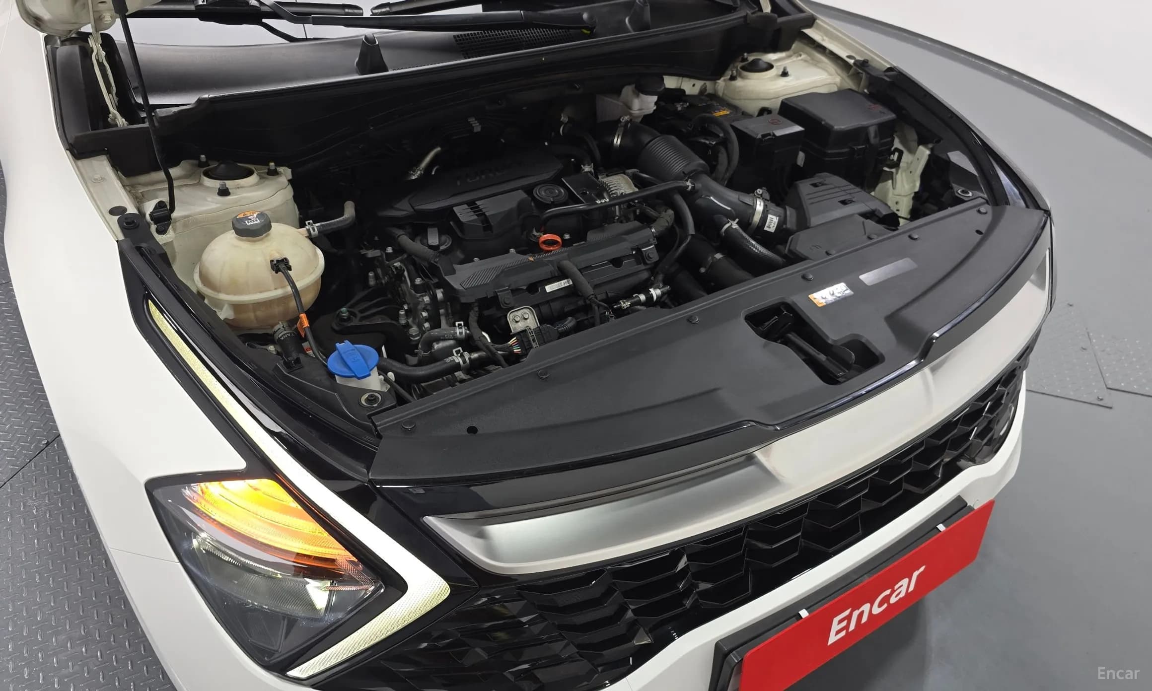 Sportage 5th Generation