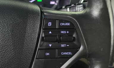 LF Sonata