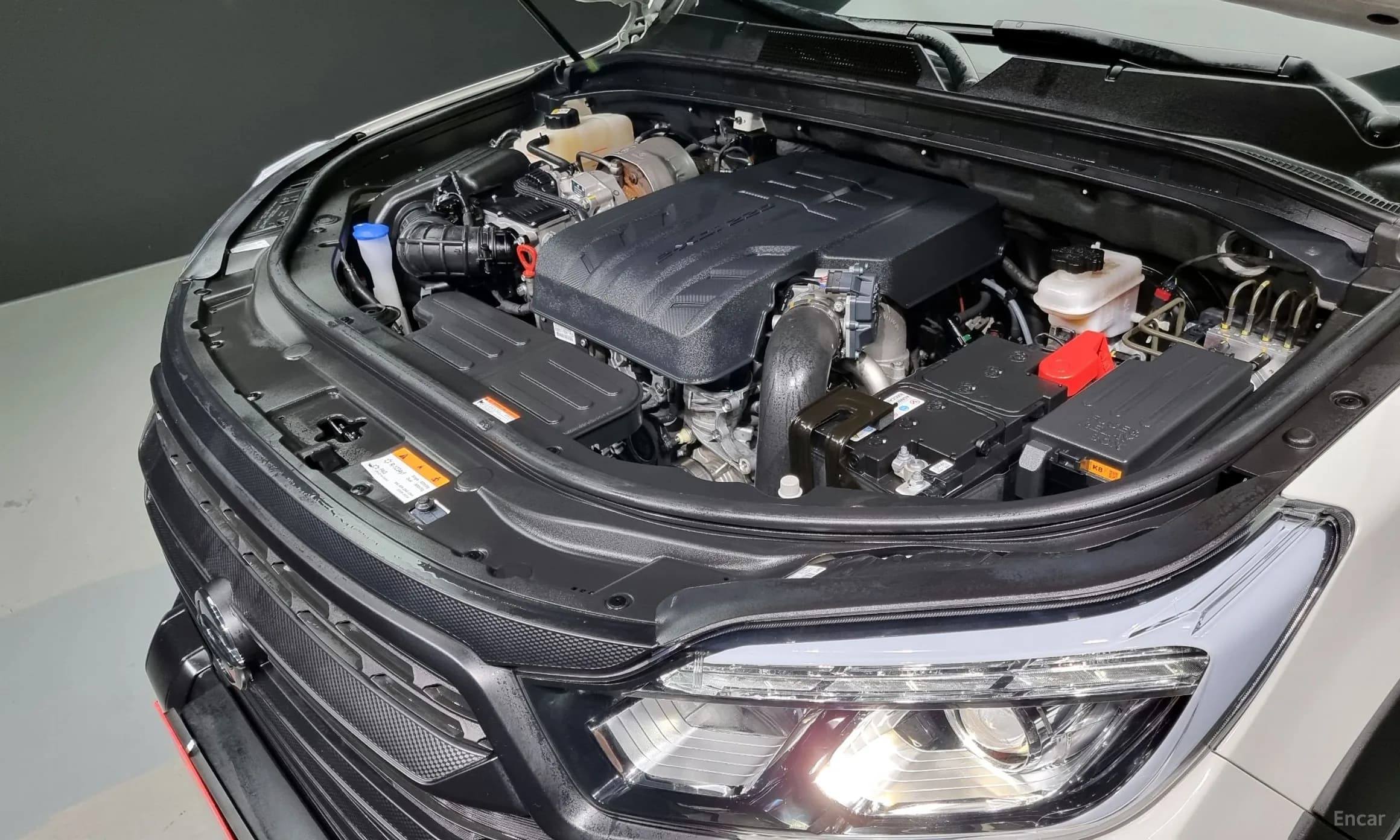 Rexton Sports