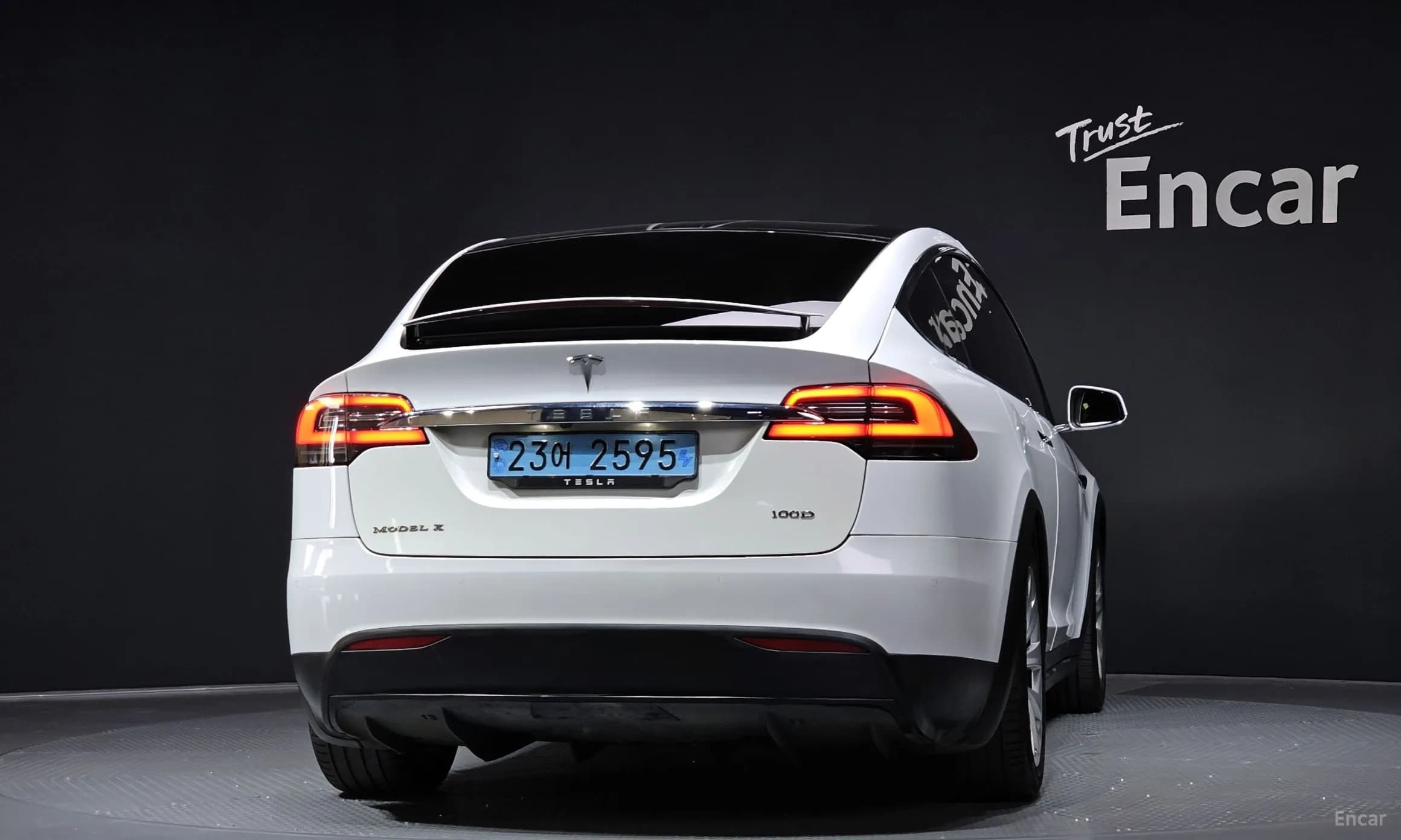Model X