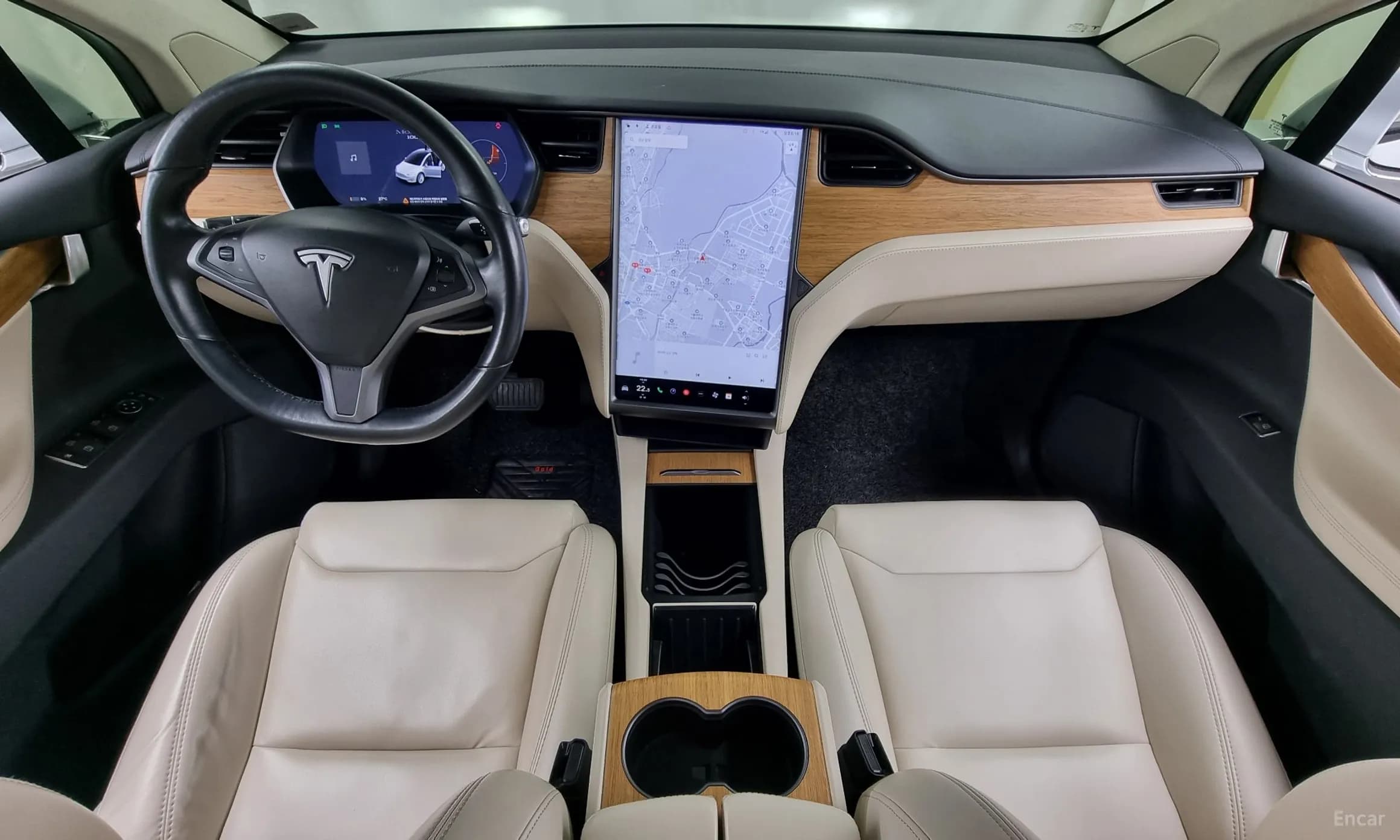 Model X