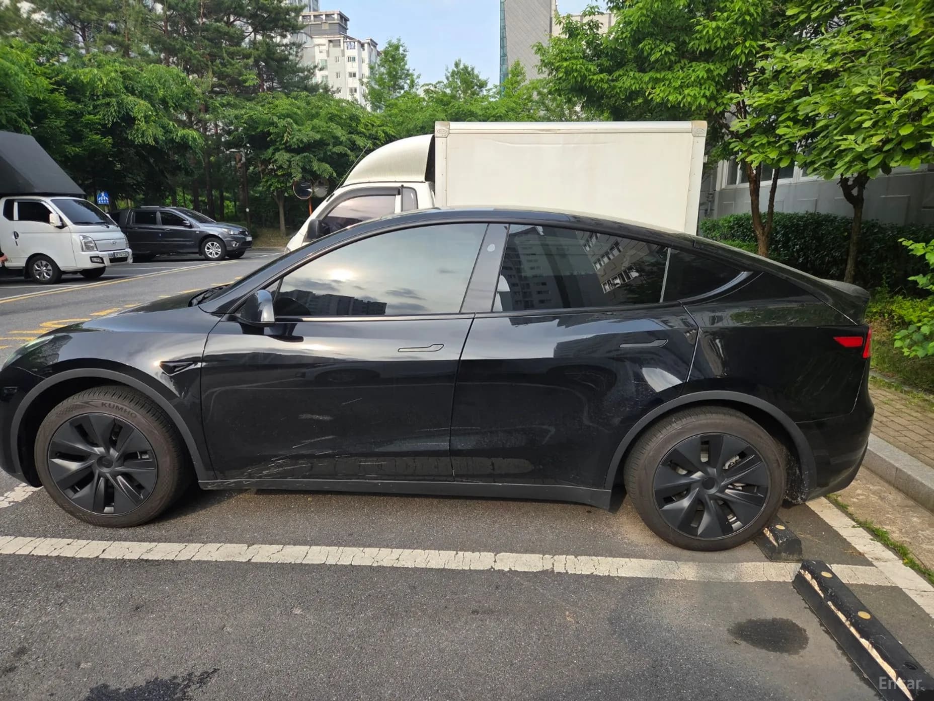 Model Y