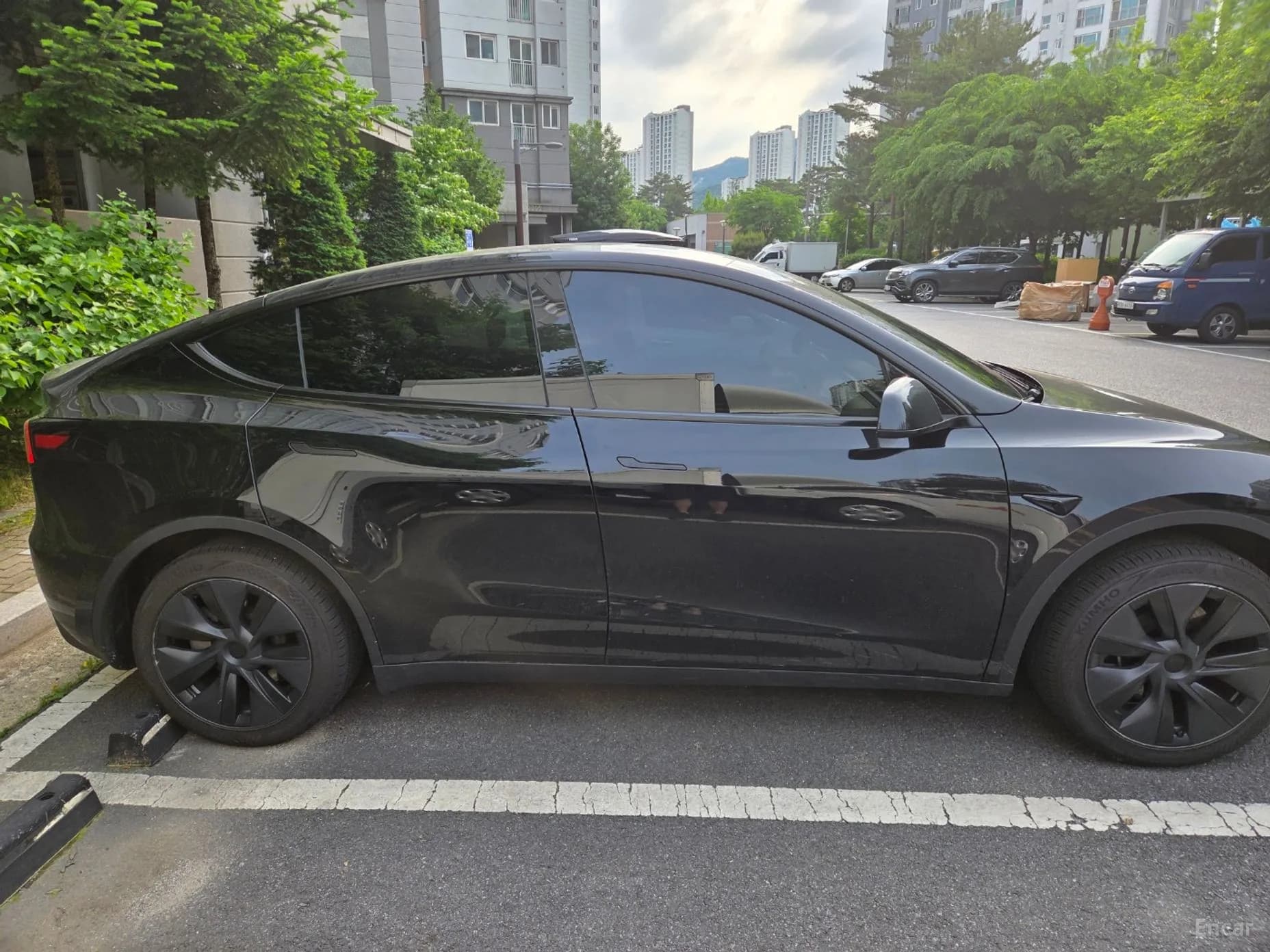 Model Y