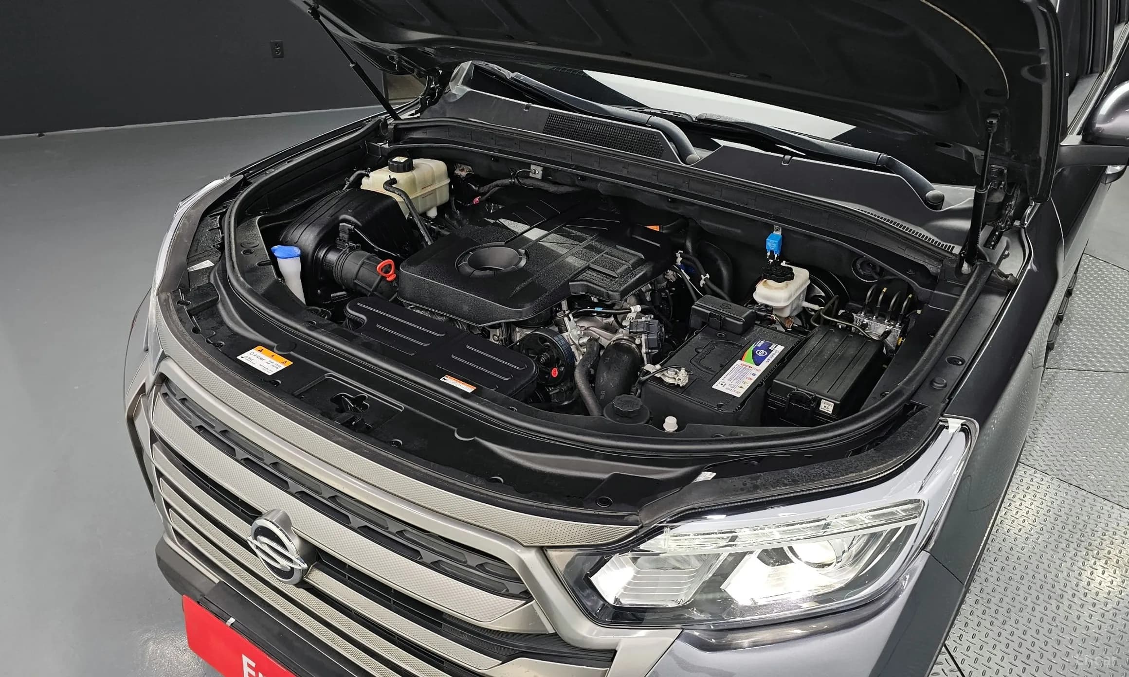 Rexton Sports