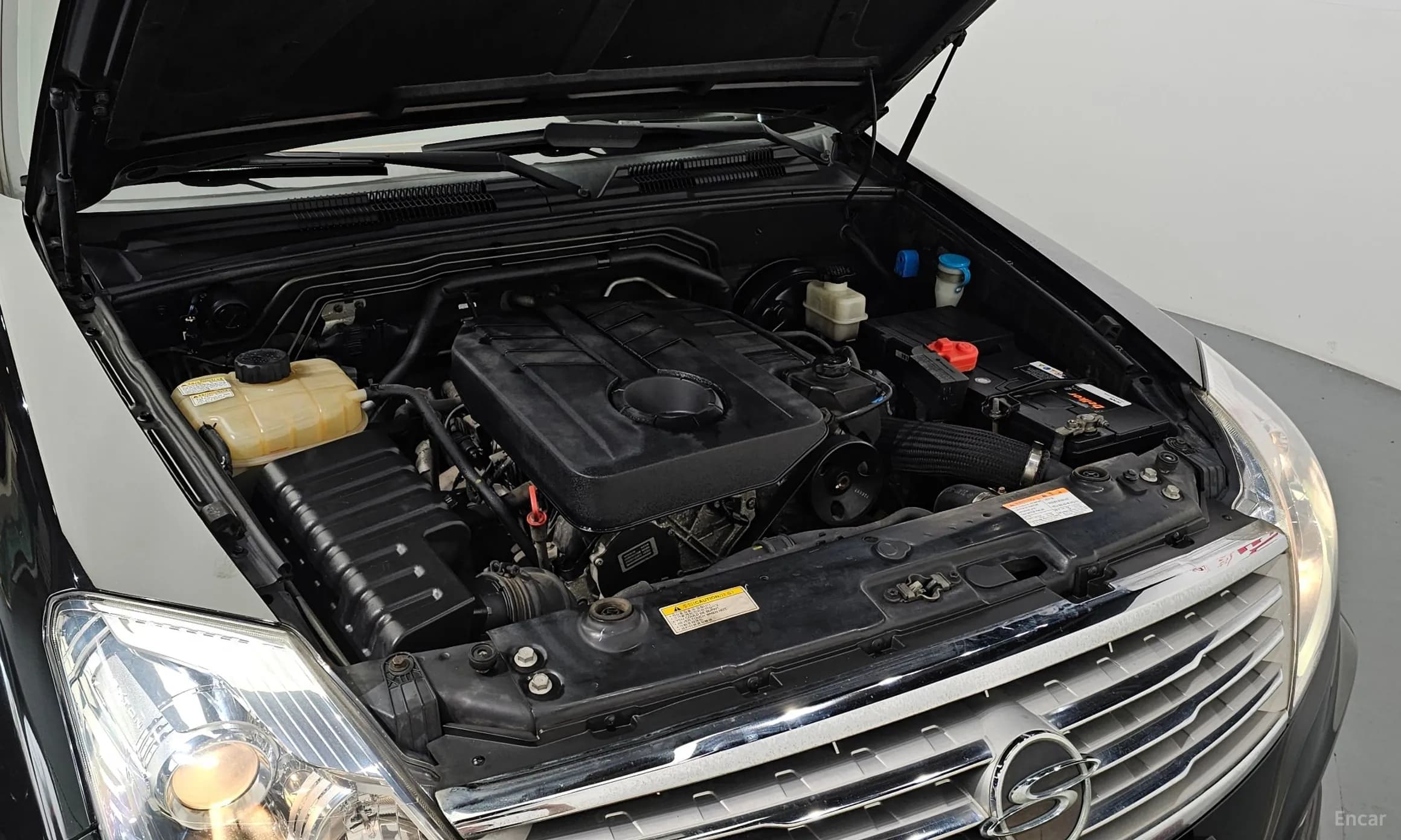 Rexton W