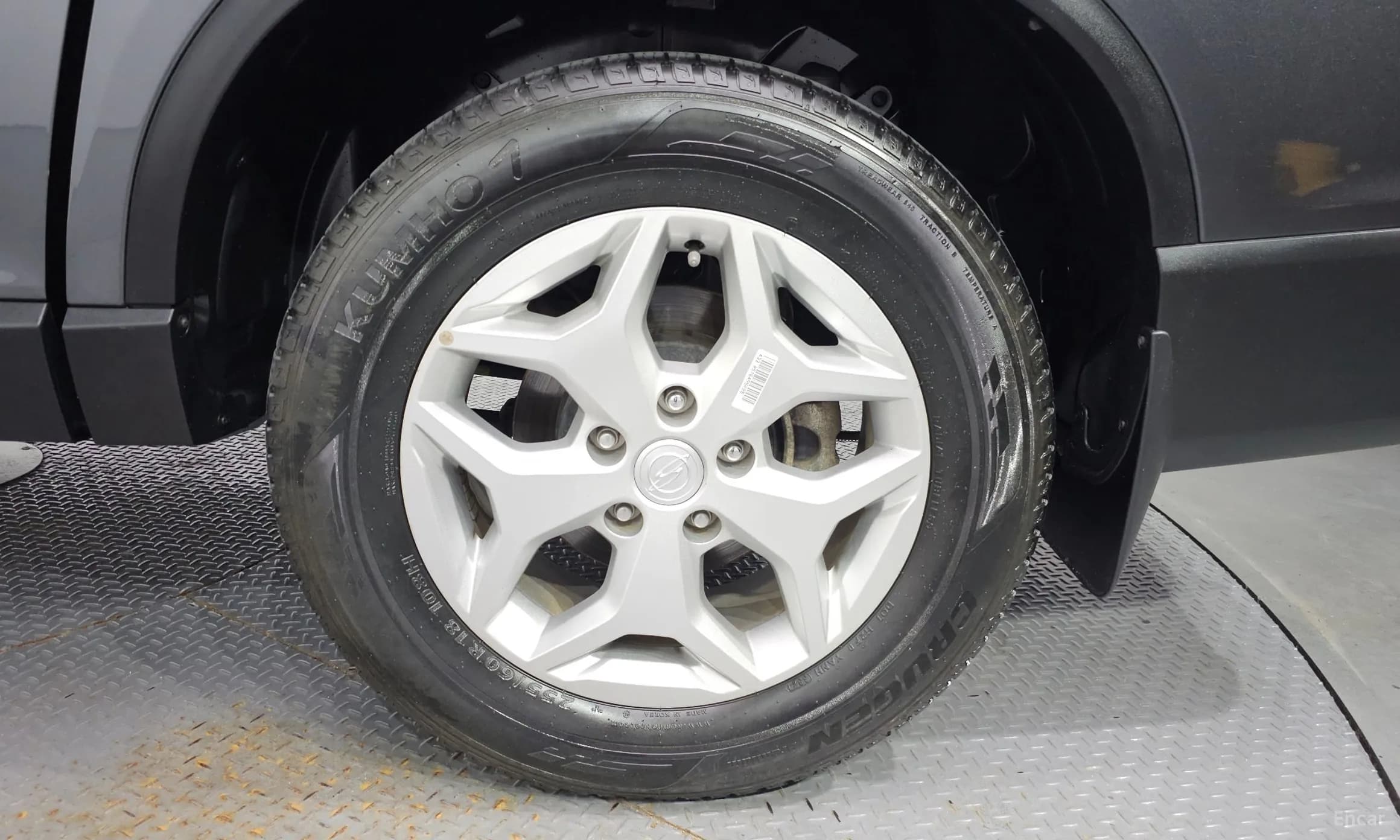 Rexton Sports