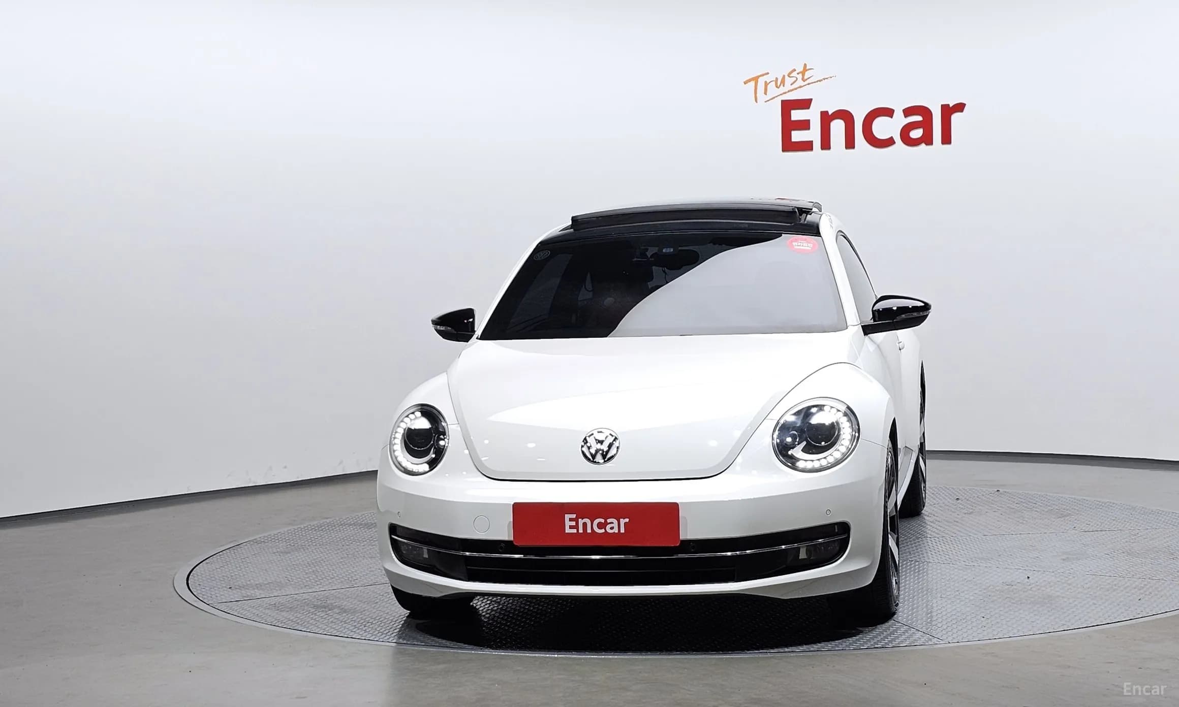The Beetle