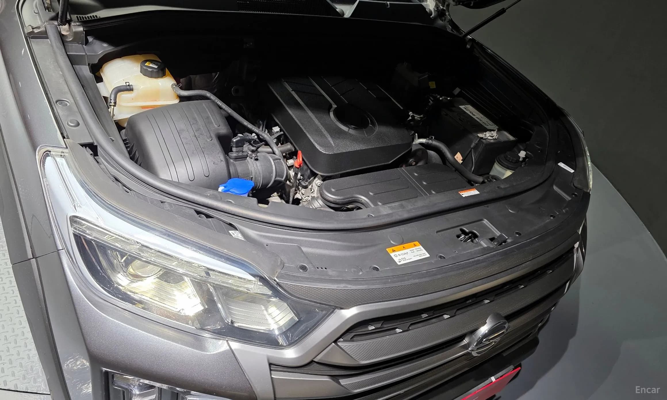 Rexton Sports