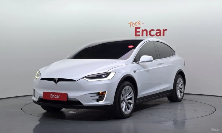 Model X