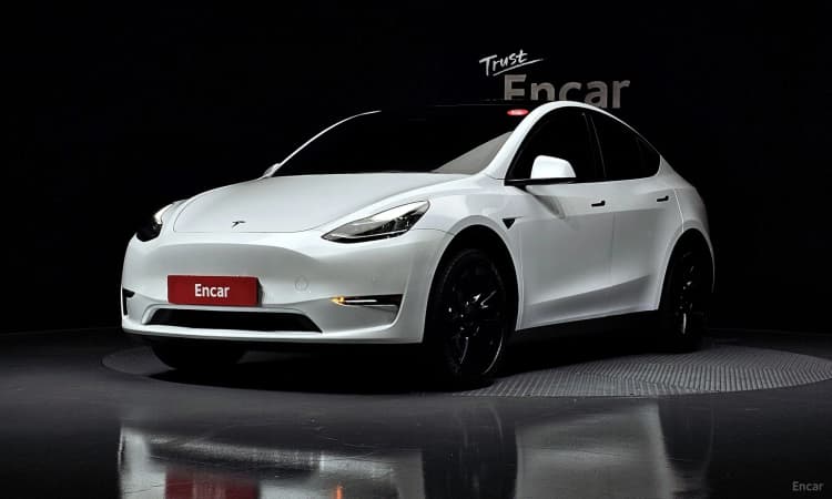 Model Y