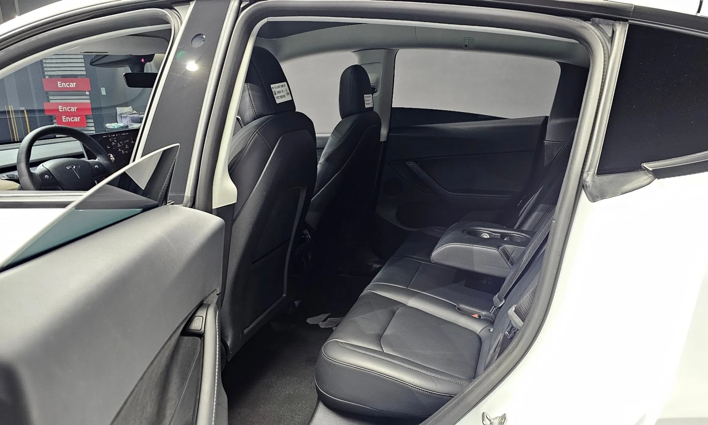 Model Y