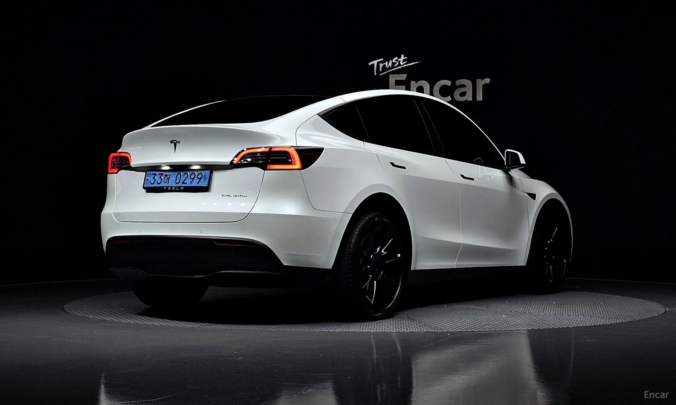 Model Y