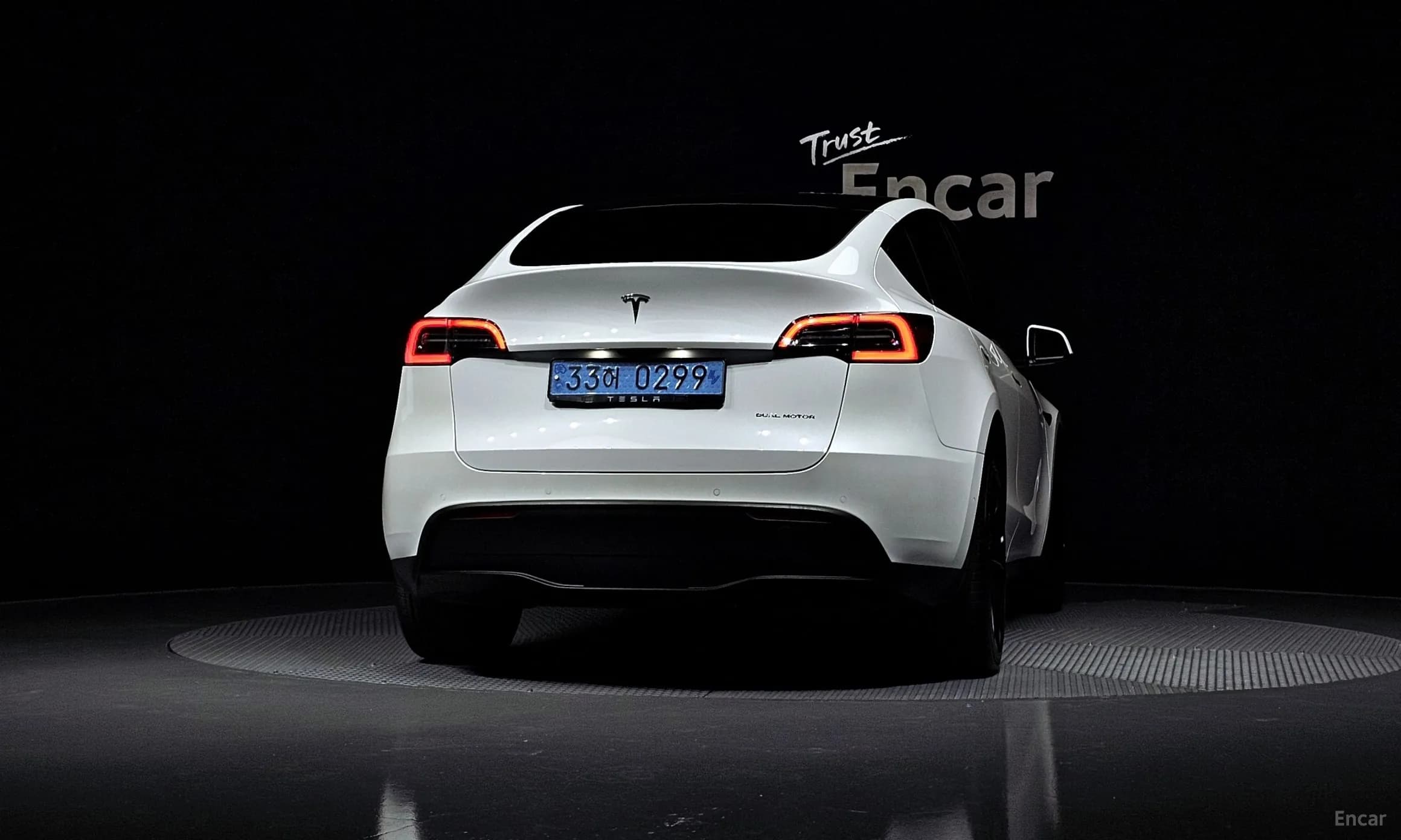 Model Y