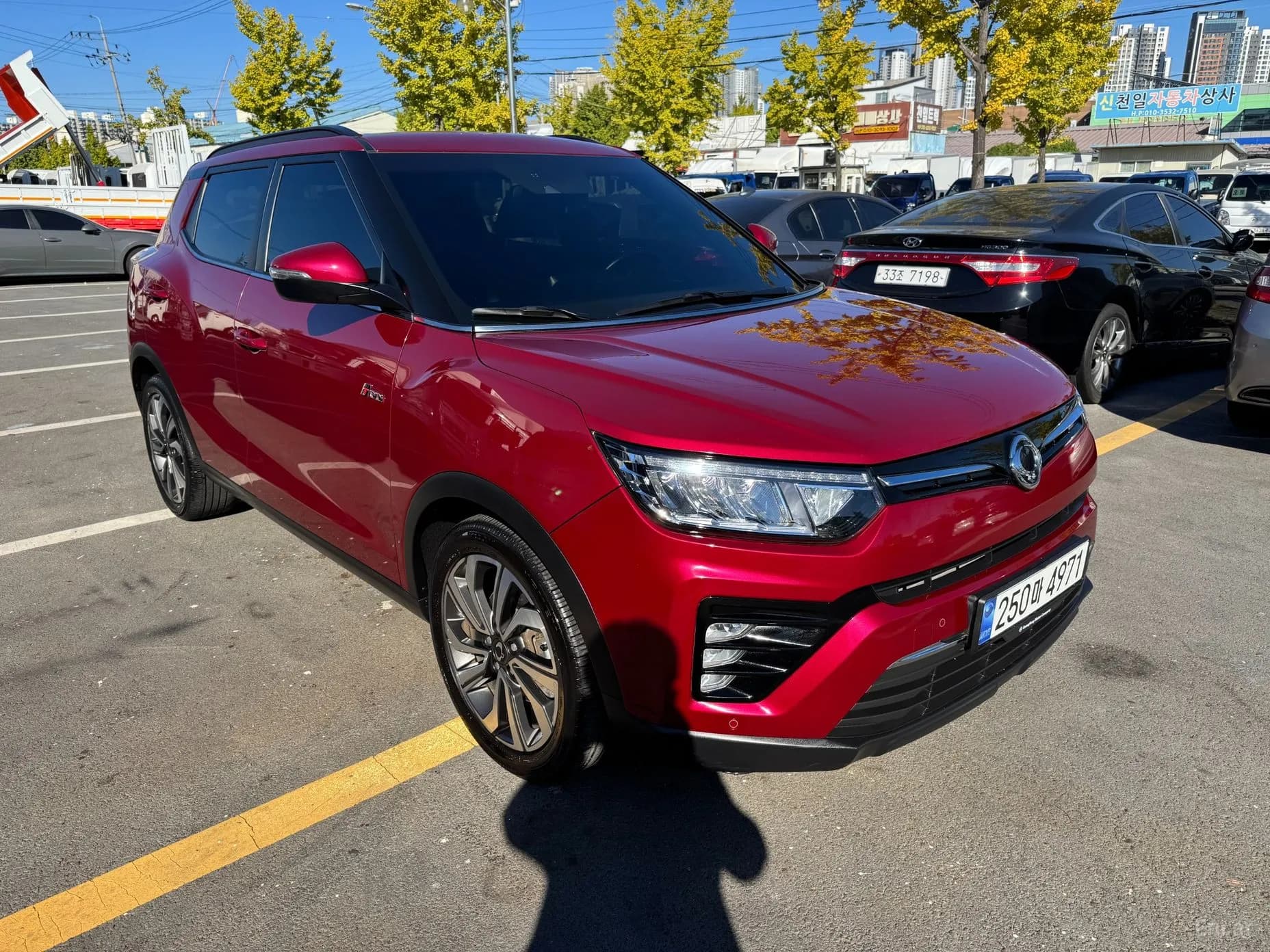 Berry New Tivoli