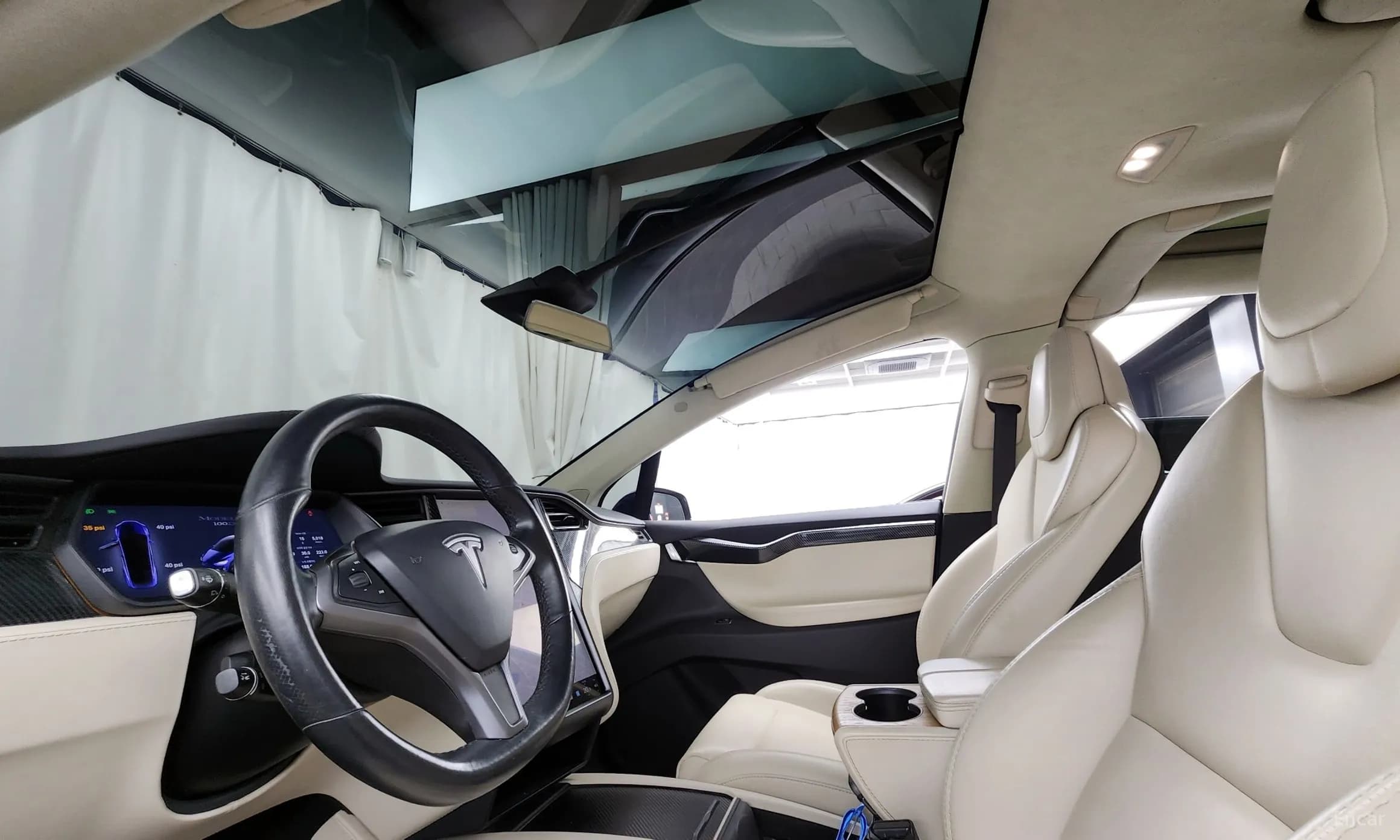Model X