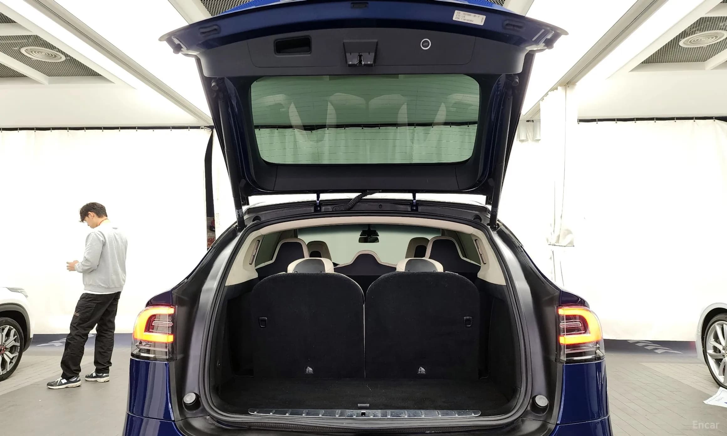 Model X