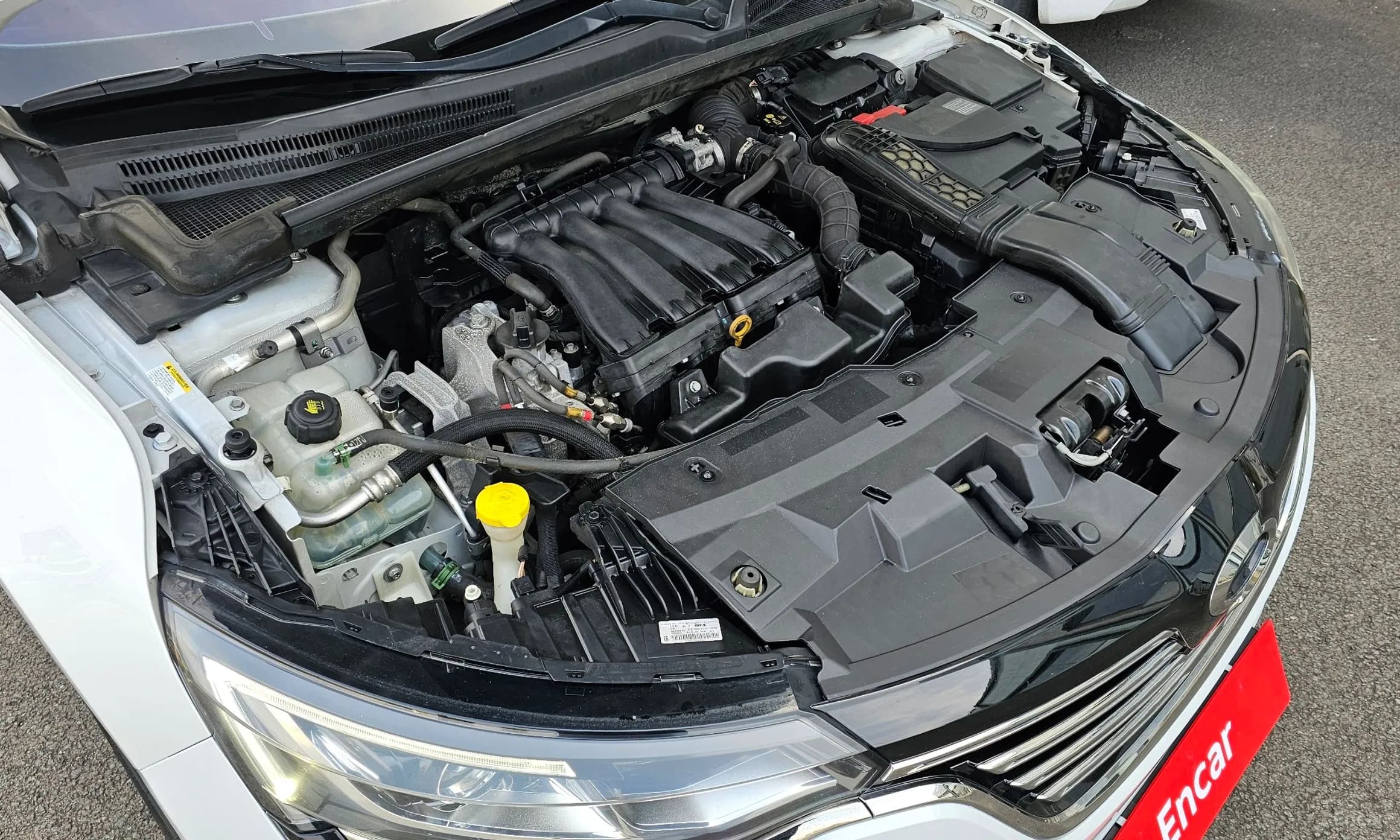 SM6