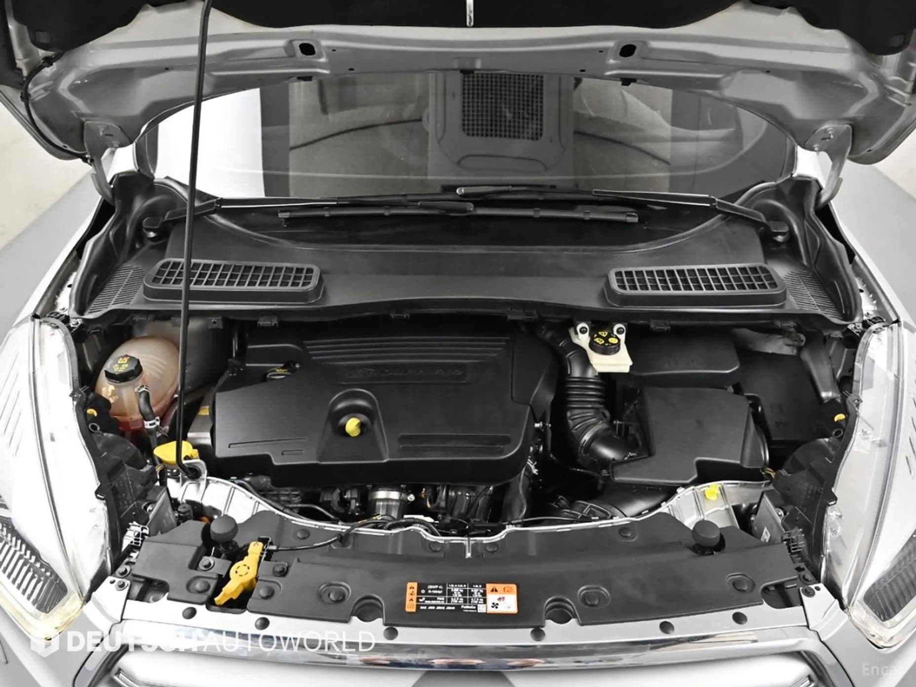 Cougar 2nd Generation