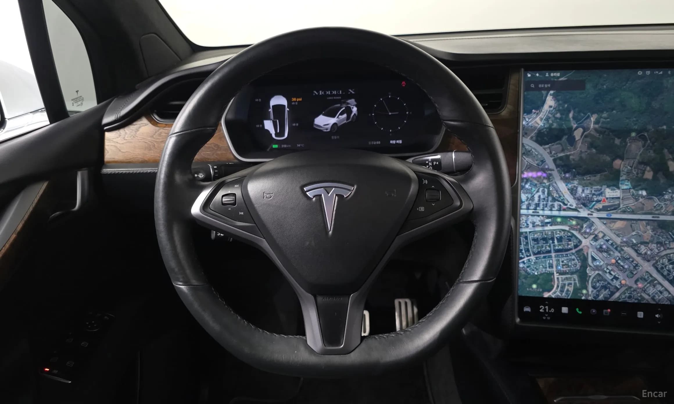 Model X