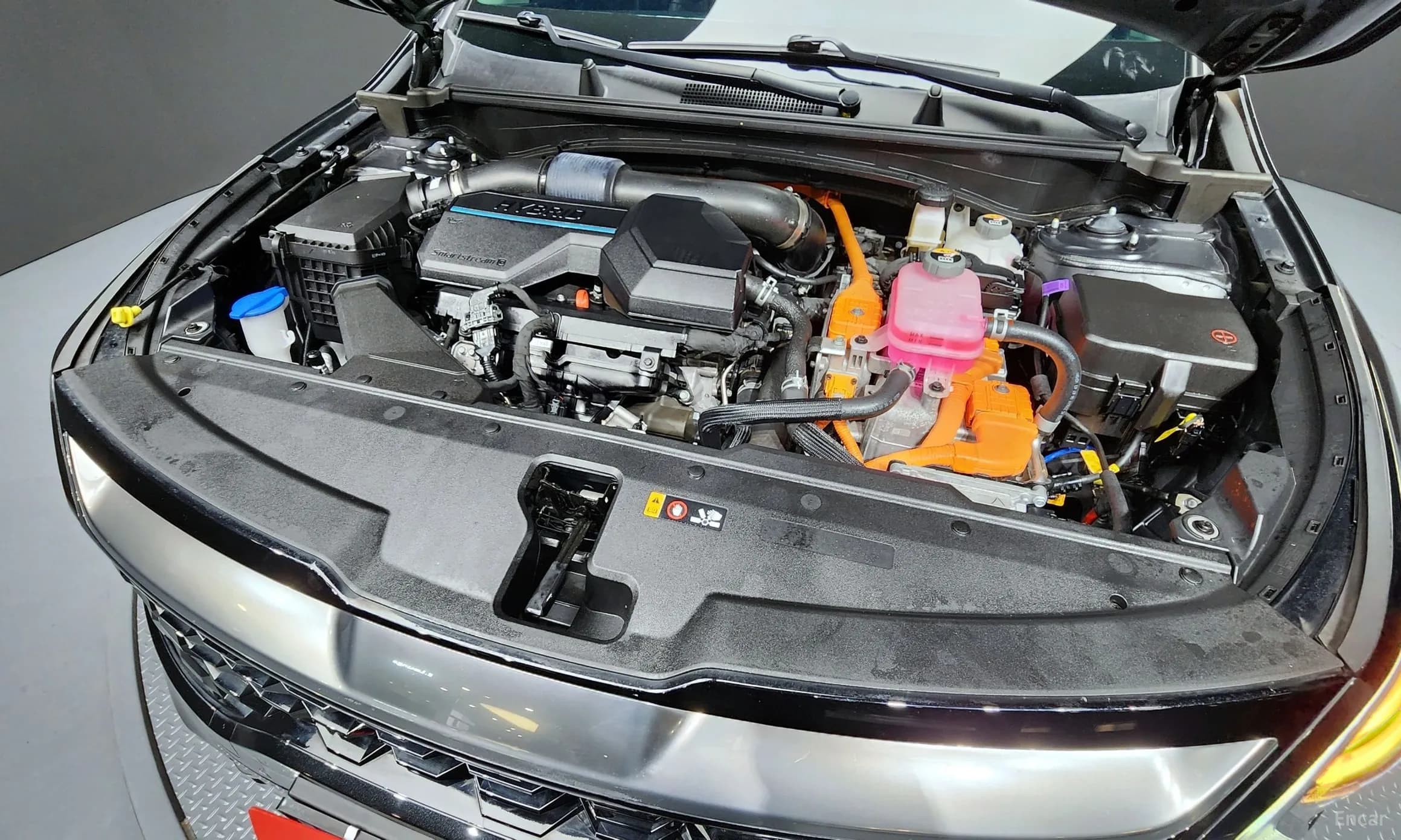 Sportage 5th Generation Hybrid