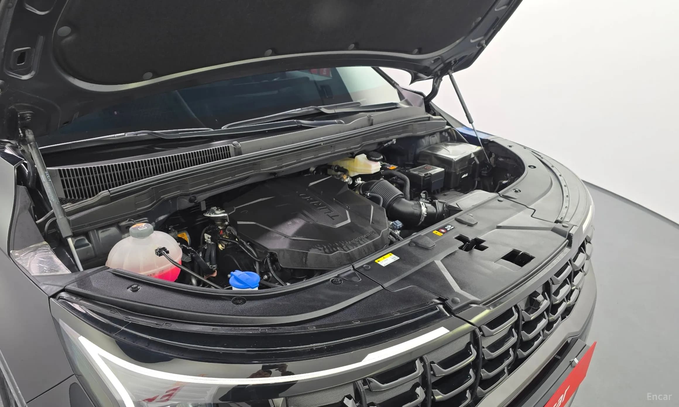 Carnival 4th Generation