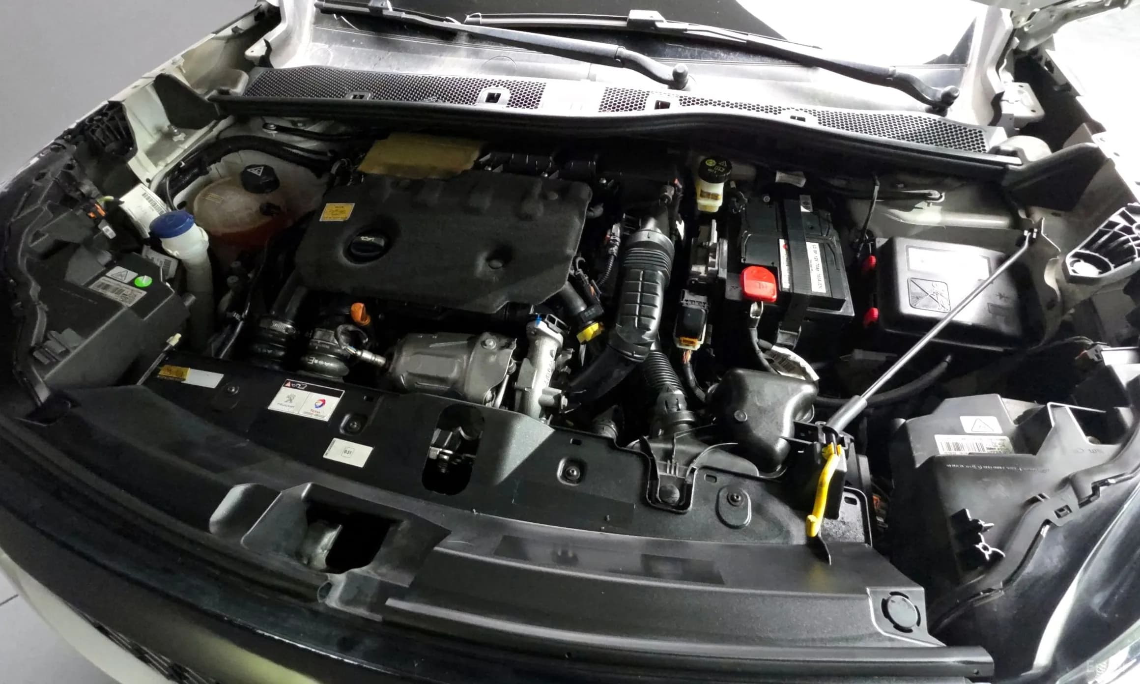 2008 Second Generation