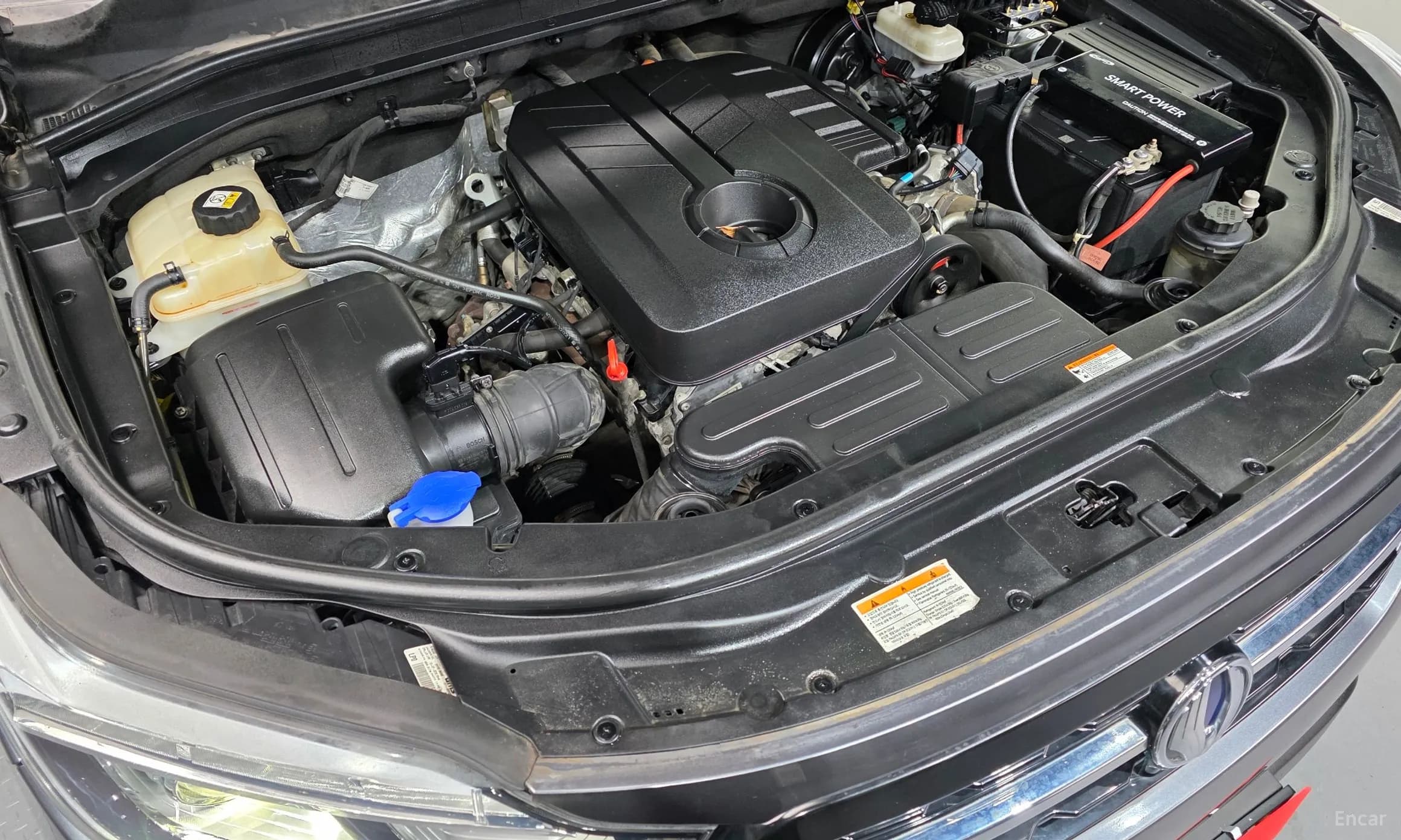 Rexton Sports