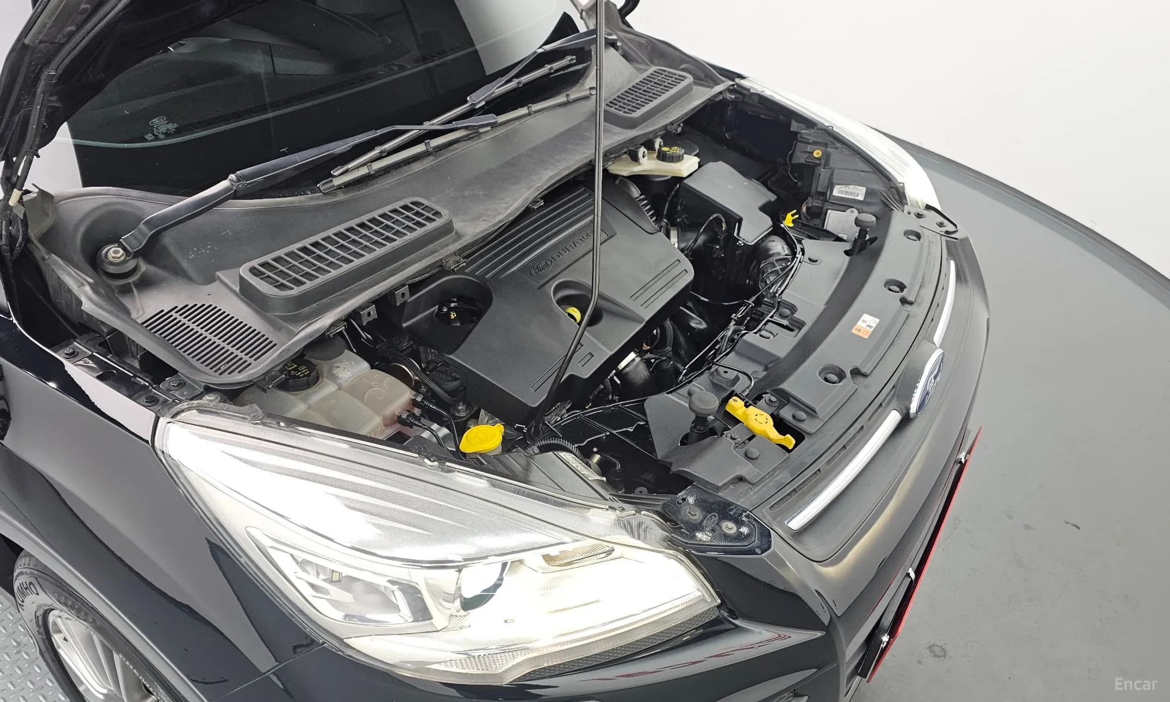 Cougar 2nd Generation