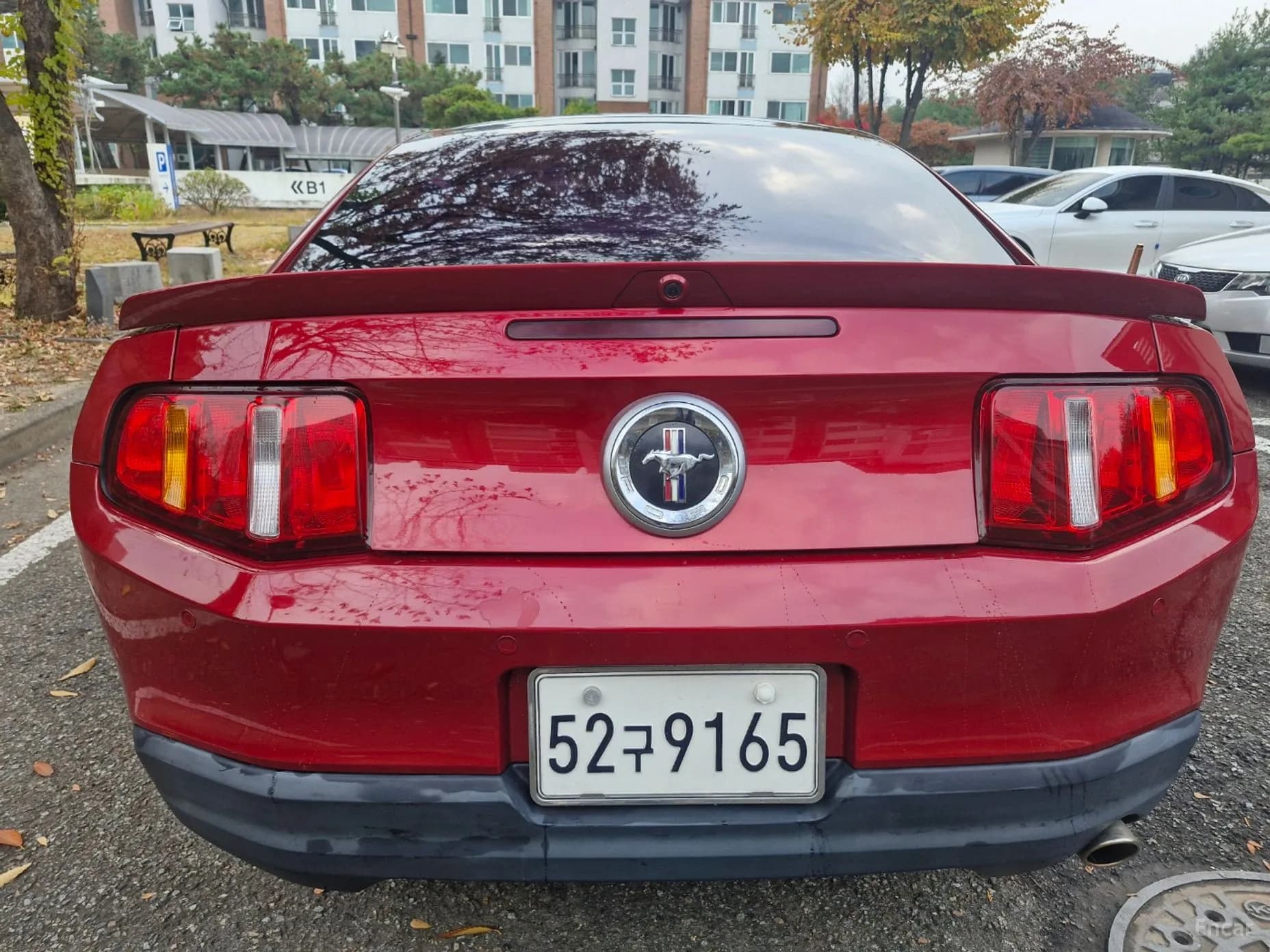 Mustang