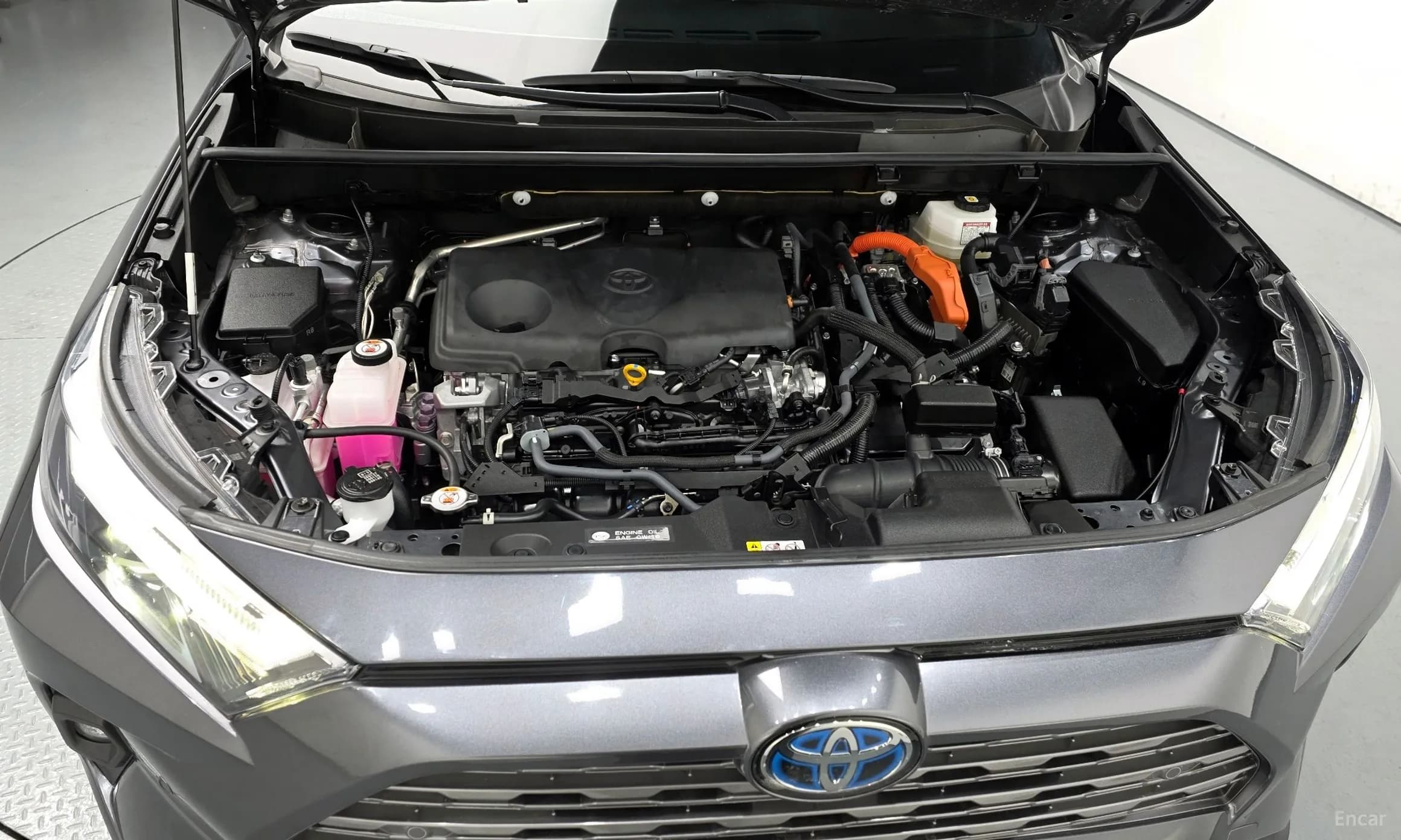 RAV4 5th Generation
