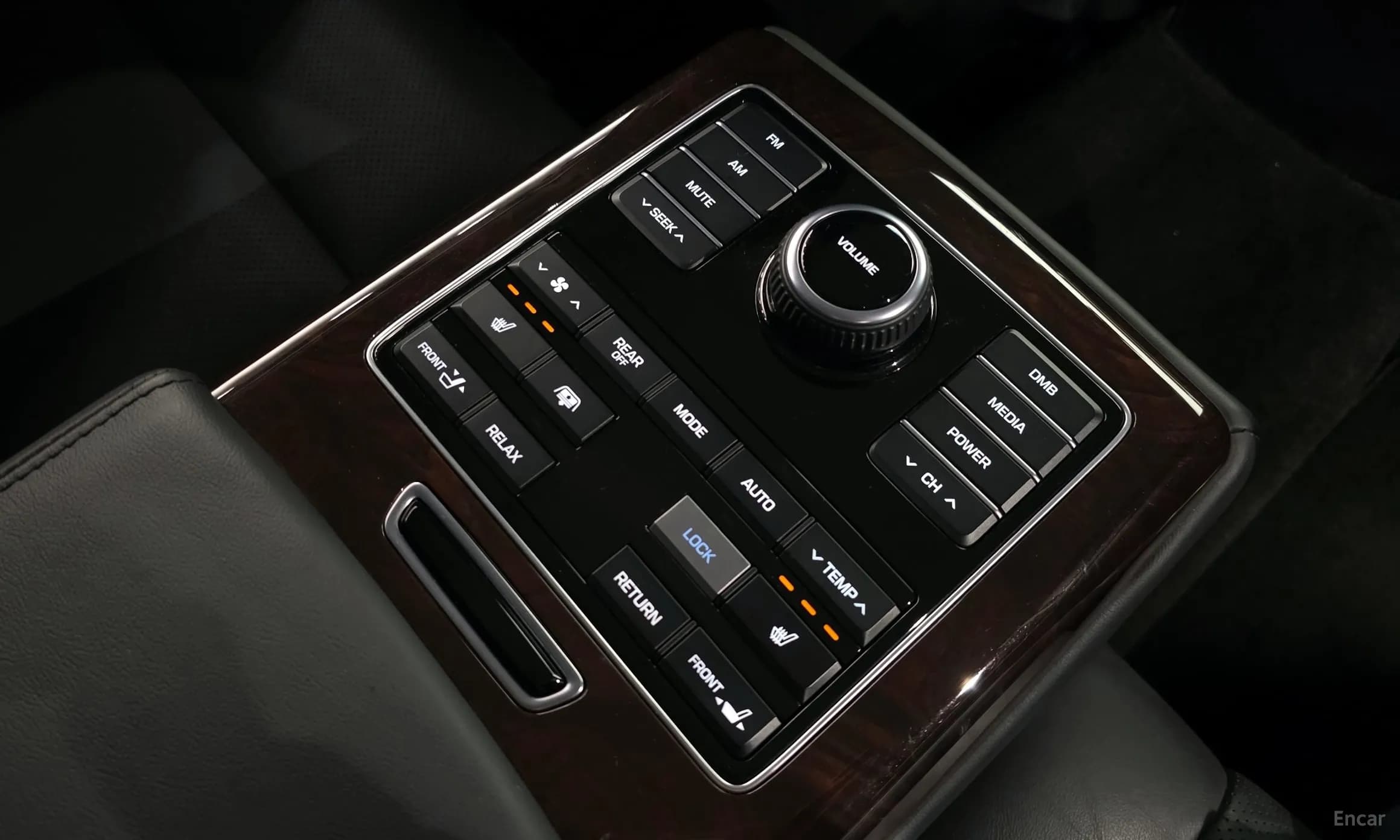 Equus (new)