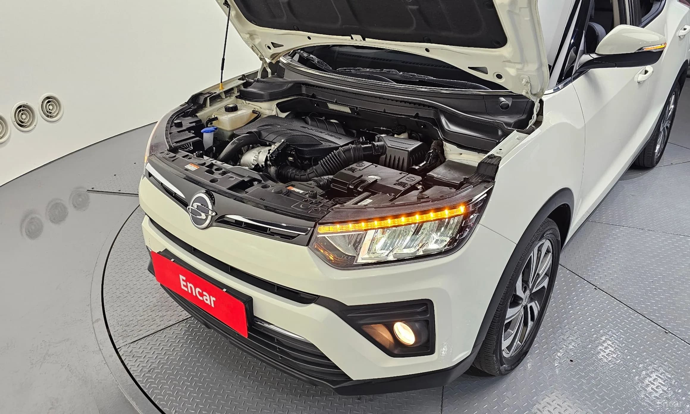 Berry New Tivoli