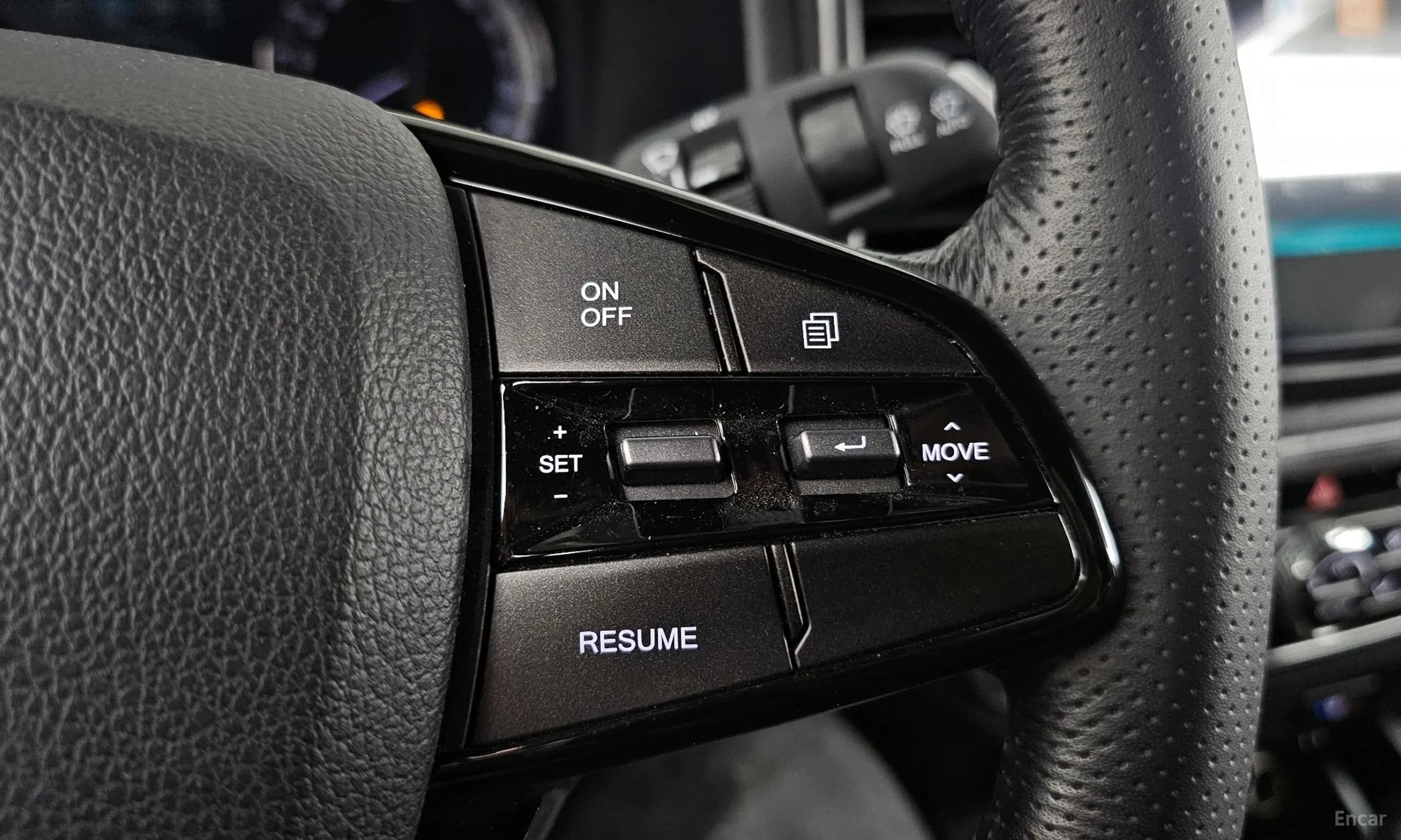 Rexton Sports